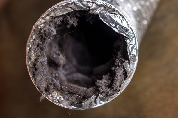 Best Commercial Air Duct Cleaning  in Random Lake, WI